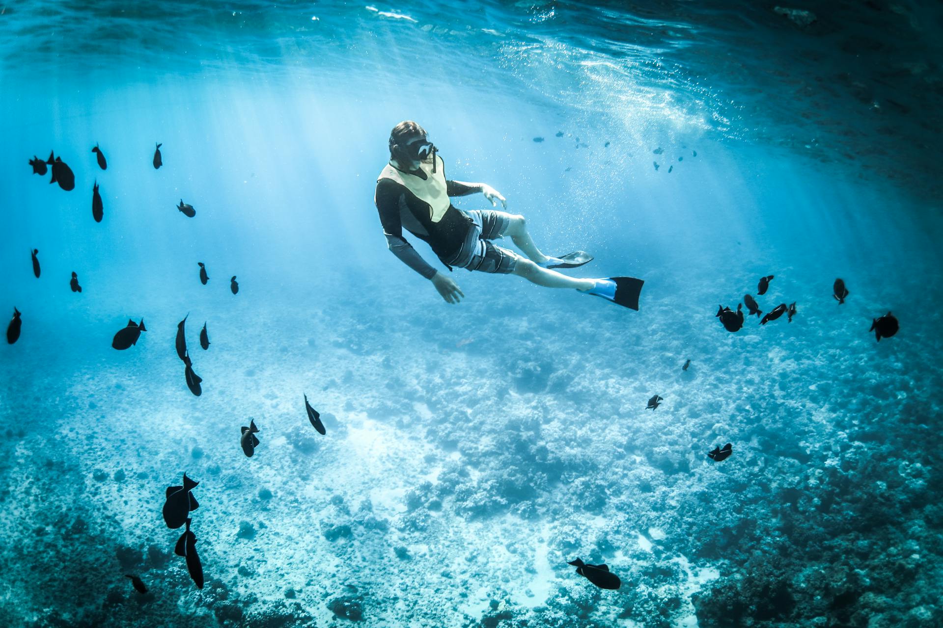 Diving in the Great Barrier Reef